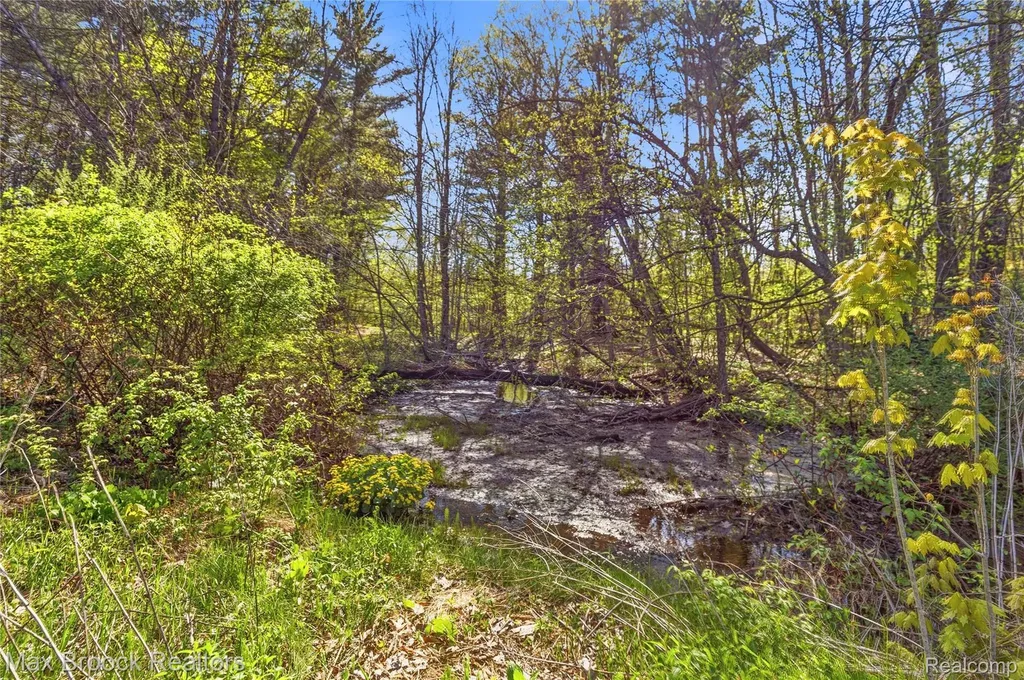 3295 Burning Tree Lane Arcadia Township MI 48412