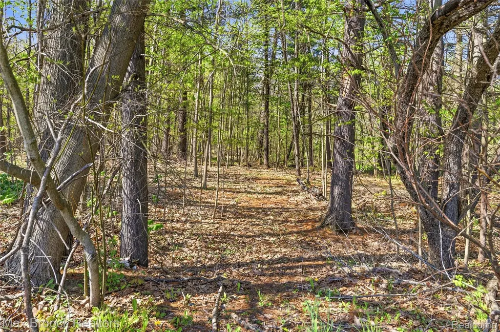 3295 Burning Tree Lane Arcadia Township MI 48412