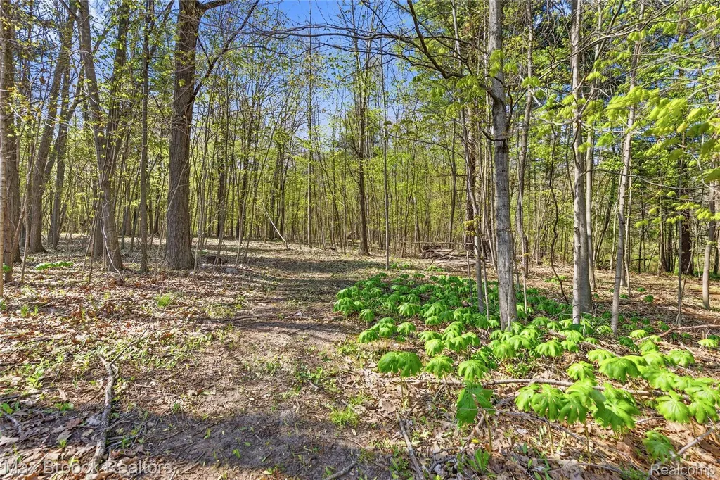3295 Burning Tree Lane Arcadia Township MI 48412