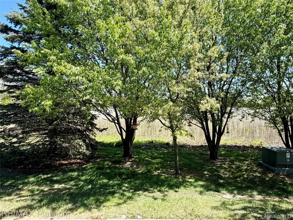 24471 Sand Lake Lane Brownstown Charter Township MI 48134