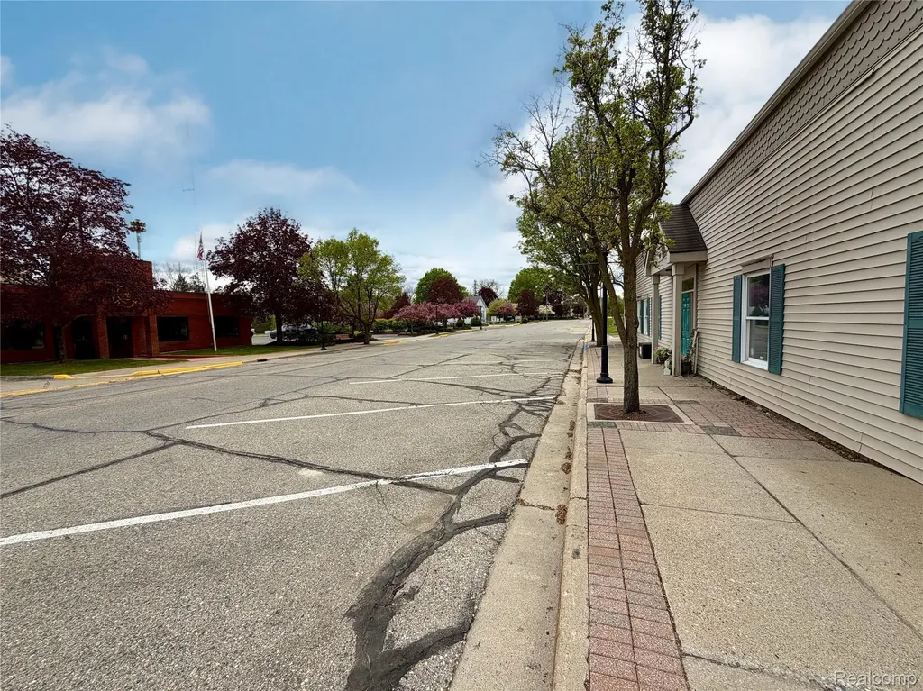 48 South Street Ortonville Village MI 48462