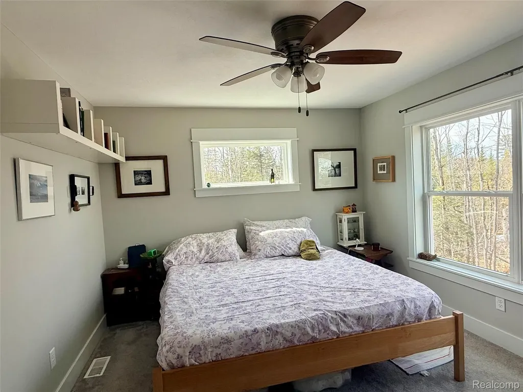 9220 S Flaska Drive Solon Township MI 49621