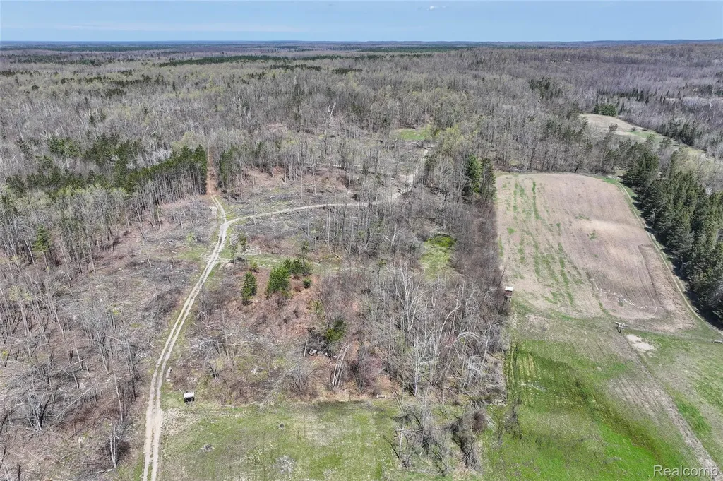 1064 W Helmer Lake Road Elmer Township MI 48647
