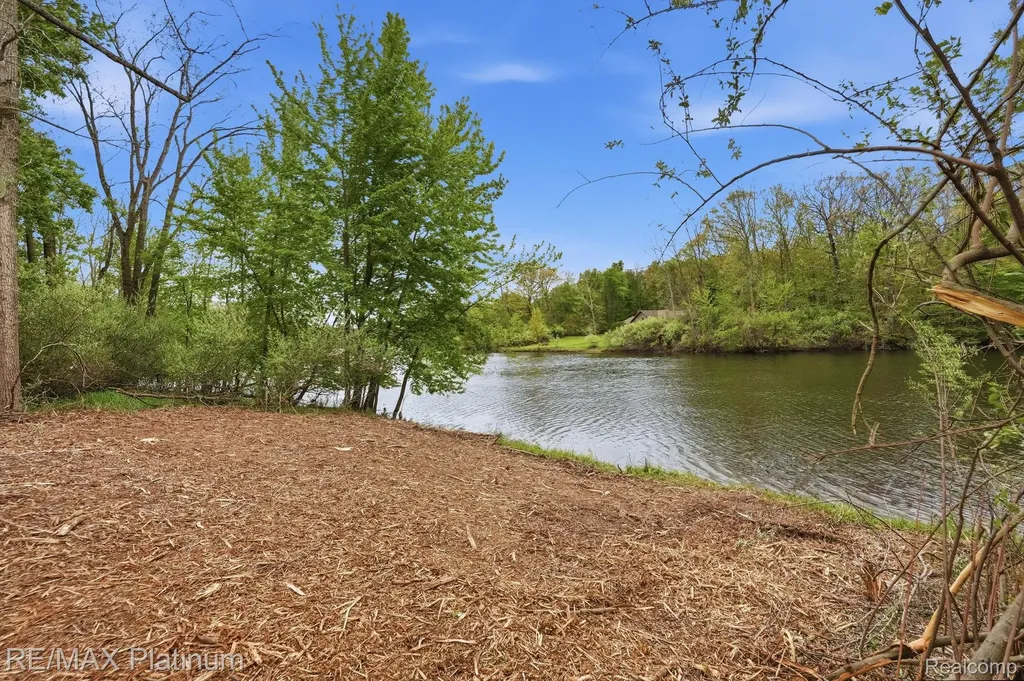 0 Hannah Jane Drive Handy Township MI 48836