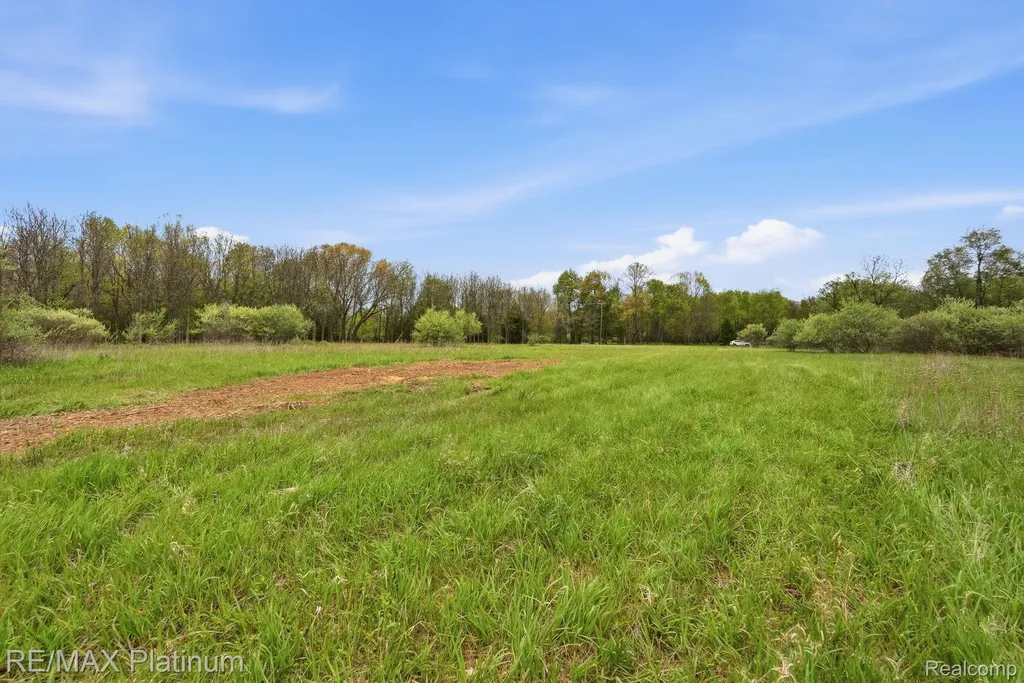 0 Hannah Jane Drive Handy Township MI 48836