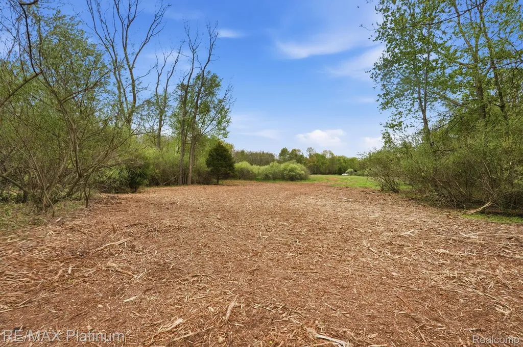 0 Hannah Jane Drive Handy Township MI 48836