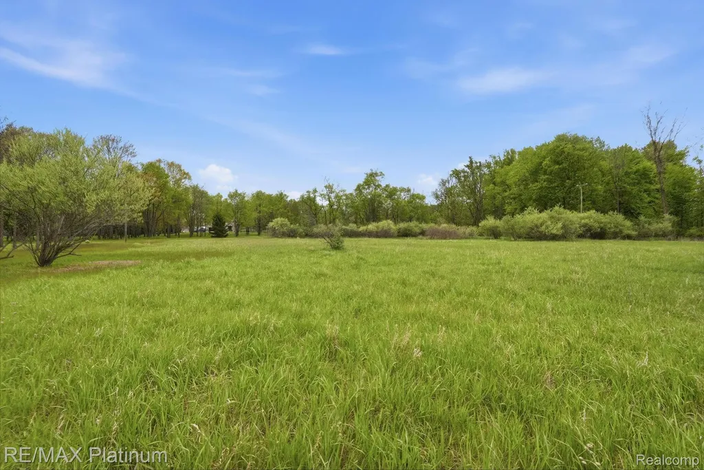 0 Hannah Jane Drive Handy Township MI 48836