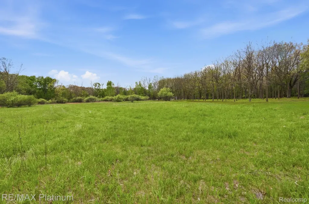 0 Hannah Jane Drive Handy Township MI 48836