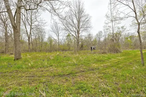 3960 Baldwin Road N Ortonville Village MI 48462