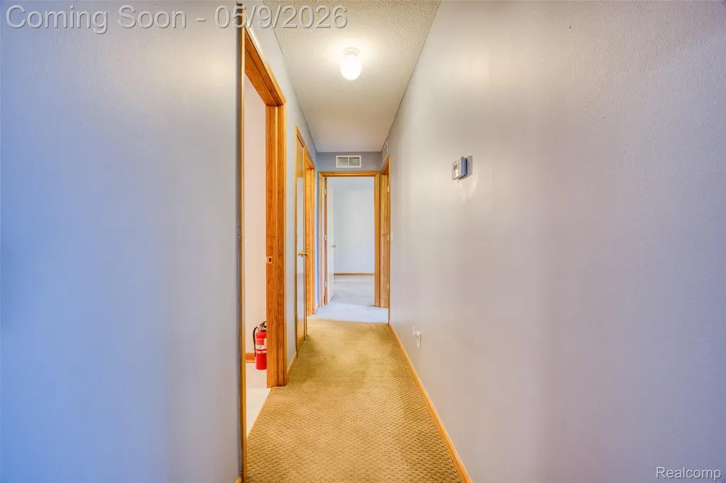 46075 Tallgrass Court Van Buren Charter Township MI 48111