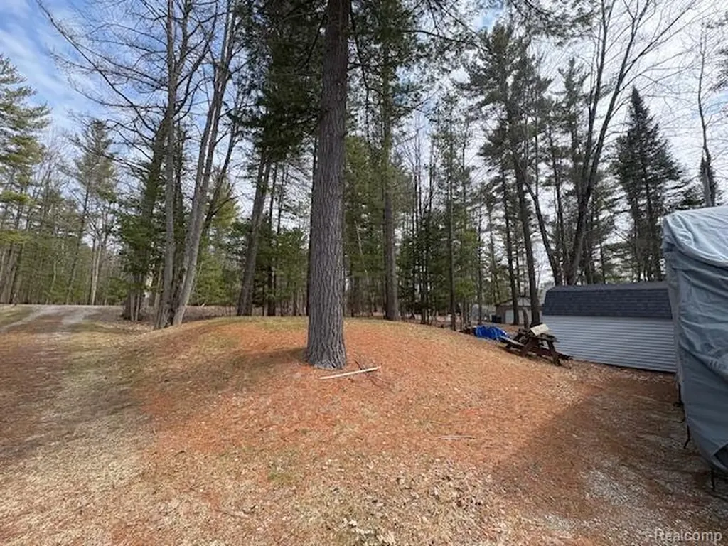 3615 Pinelands Point Road Secord Township MI 48624