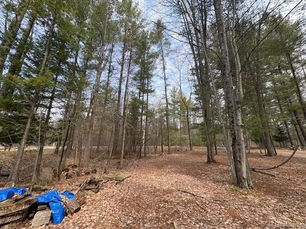 3615 Pinelands Point Road Secord Township MI 48624