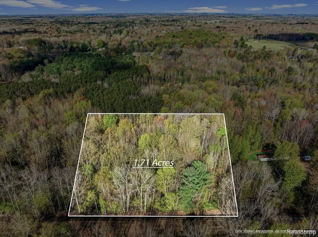 #0049 V/l Maplegrove Lane Vassar Township MI 48768