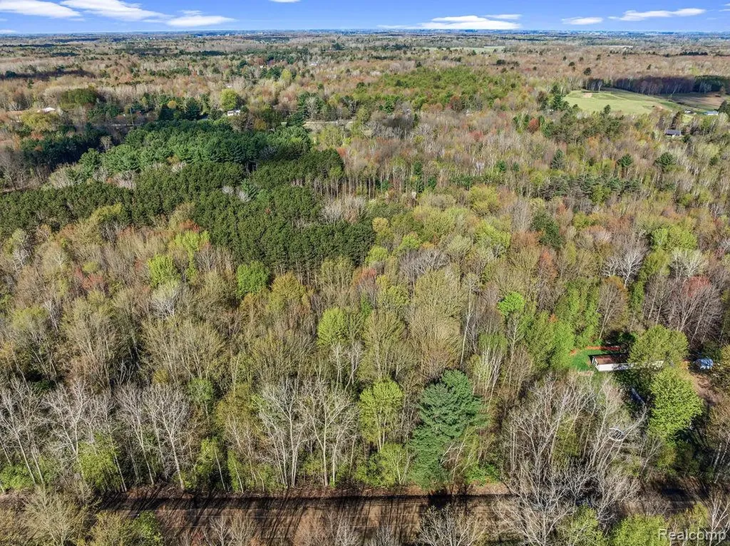 #0049 V/l Maplegrove Lane Vassar Township MI 48768