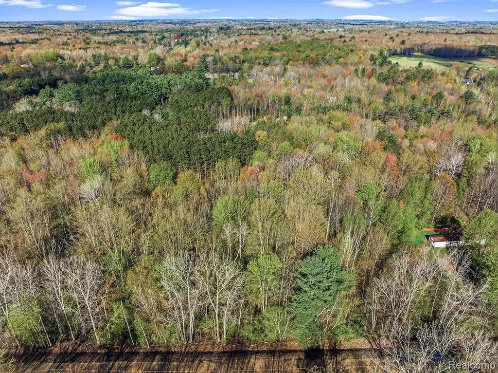 #0049 V/l Maplegrove Lane Vassar Township MI 48768
