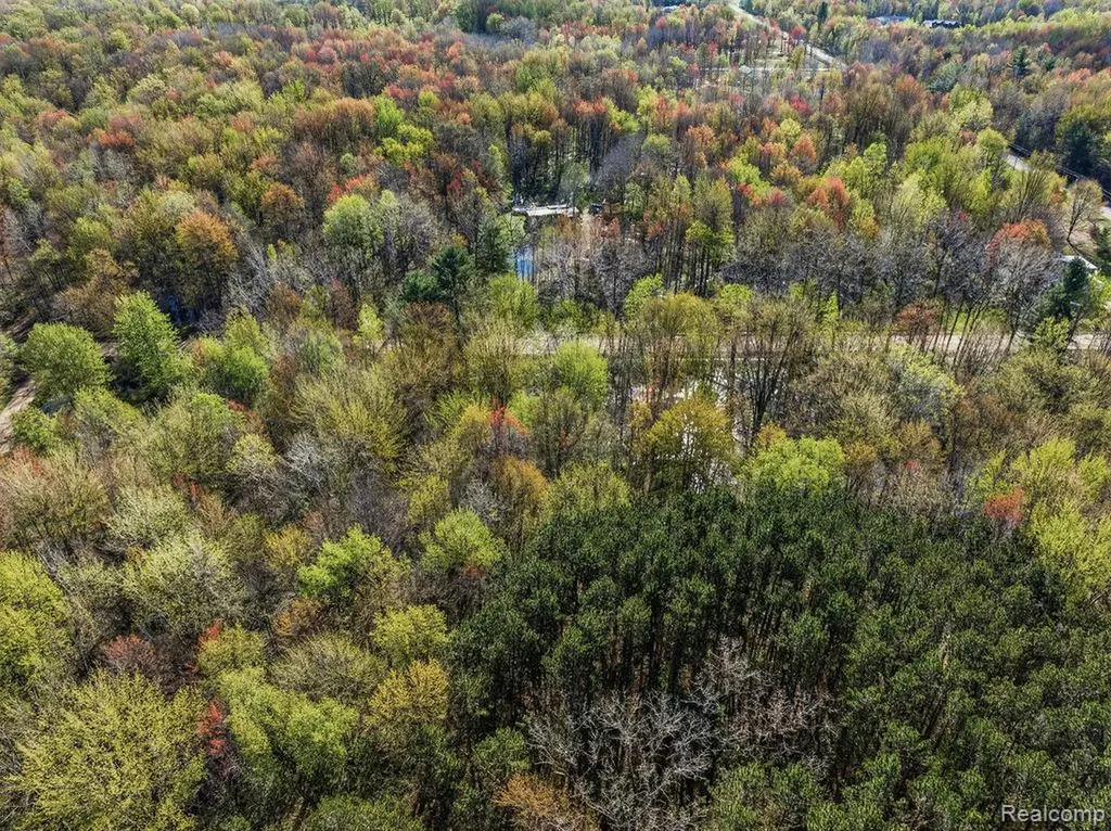#0049 V/l Maplegrove Lane Vassar Township MI 48768