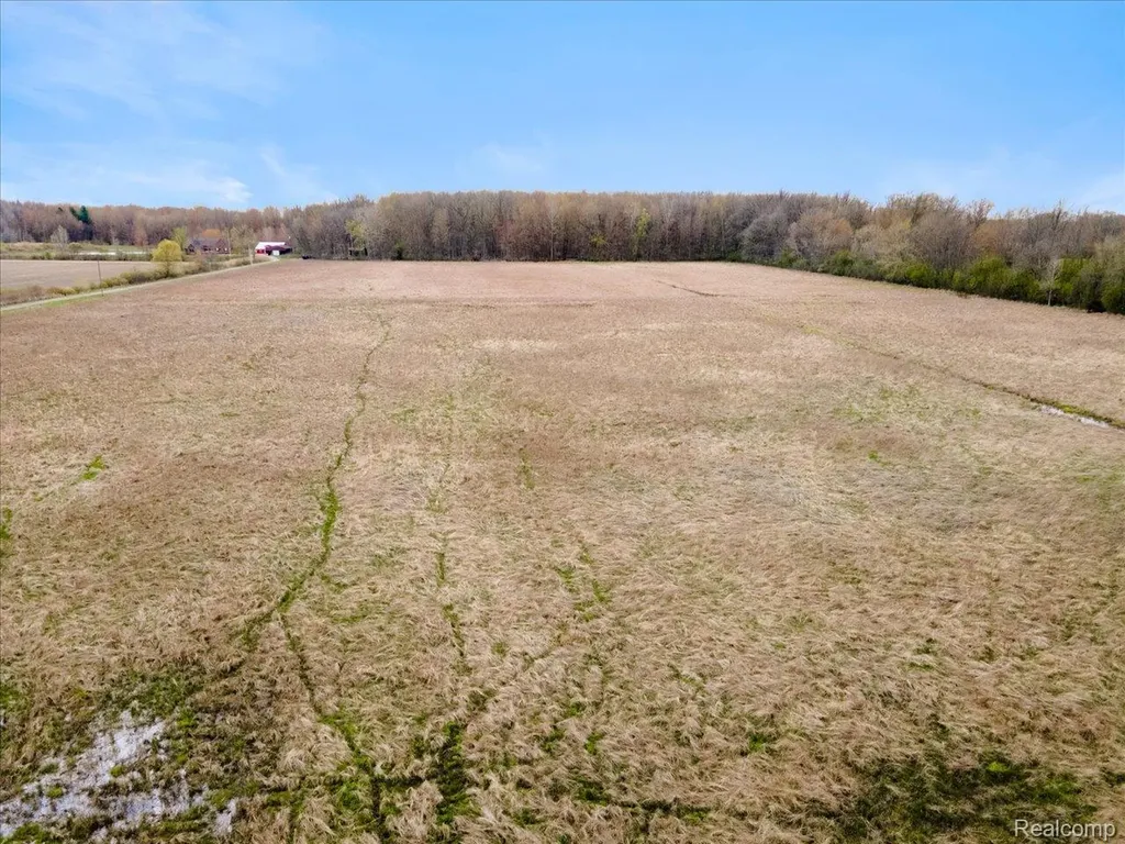 Ville Cribbins Road Greenwood Township MI 48006