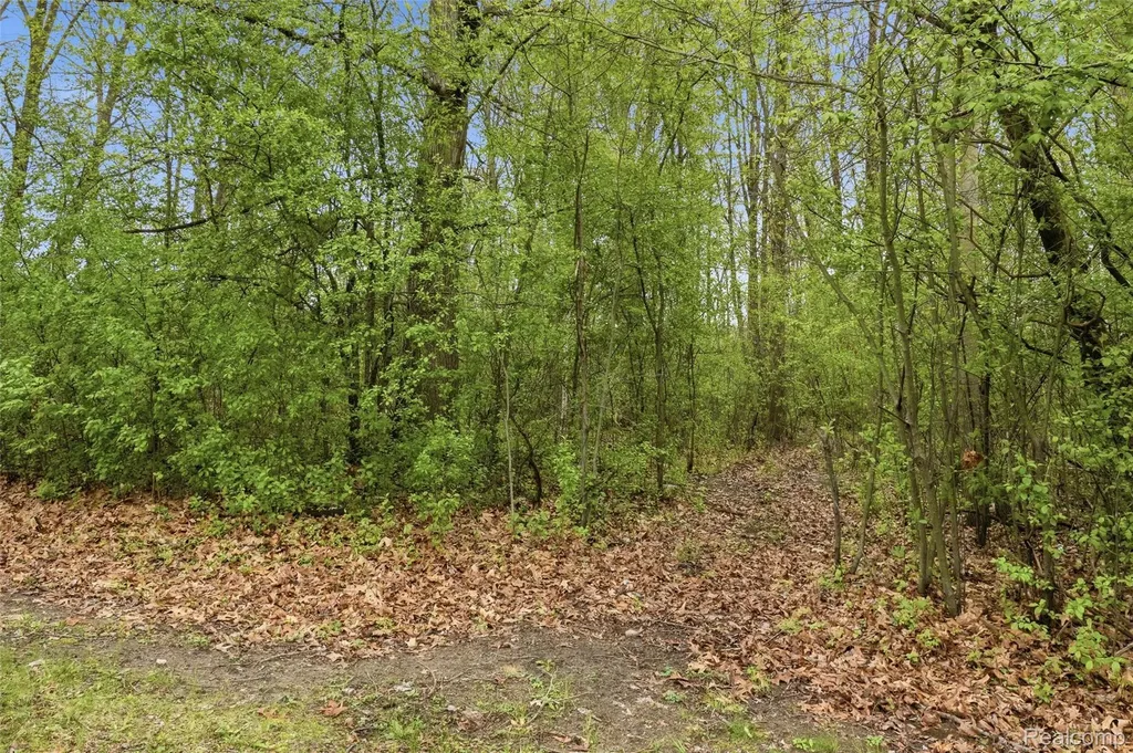 20052 Pine Street Brownstown Charter Township MI 48183