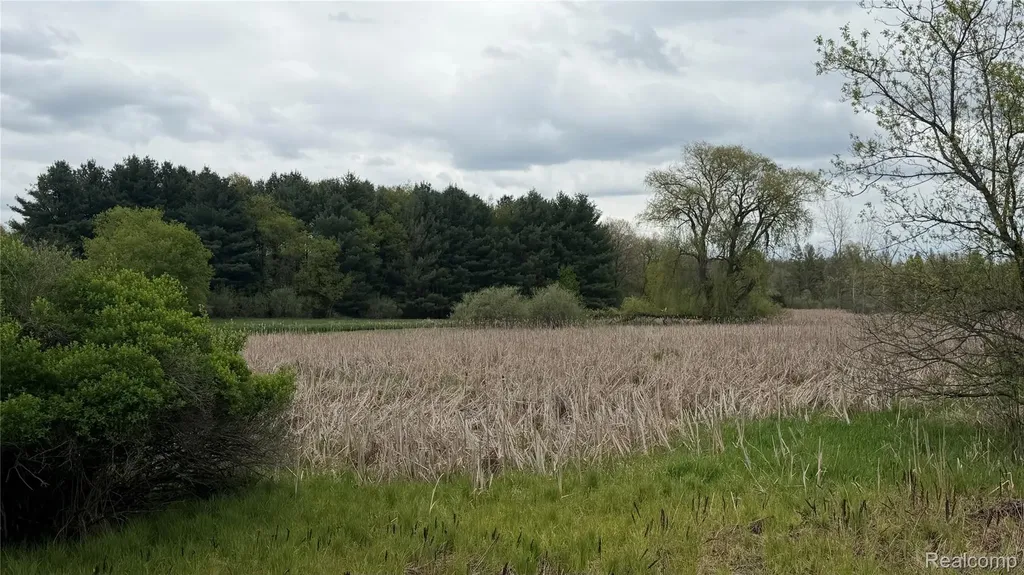 8079 Farley Road Putnam Township MI 48169