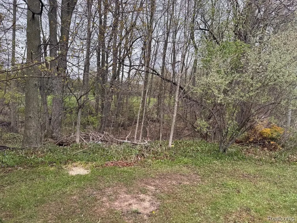 687 W Saginaw Road Fremont Township MI 48744