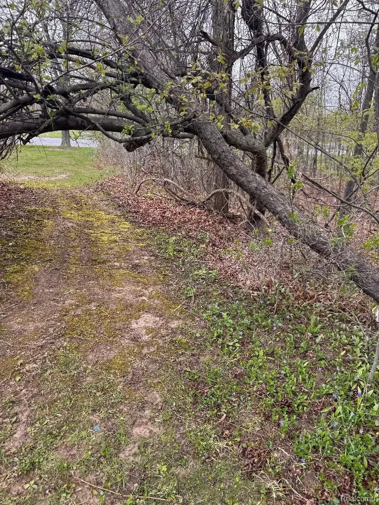 687 W Saginaw Road Fremont Township MI 48744