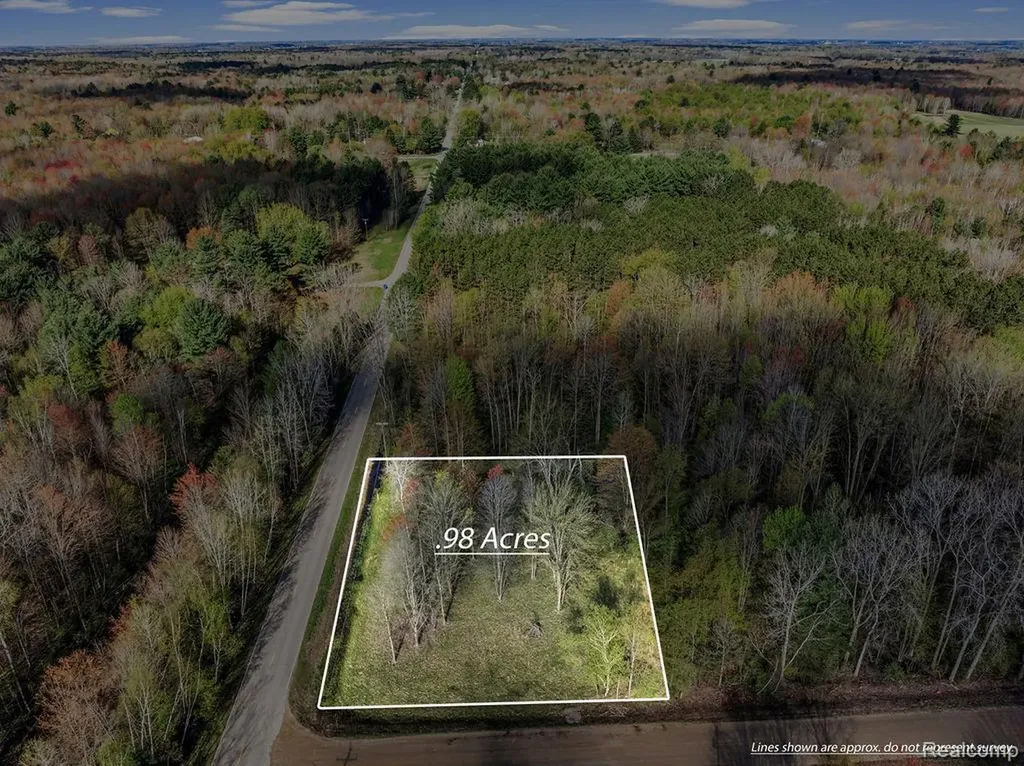 #0014 V/l Brown Road Vassar Township MI 48768