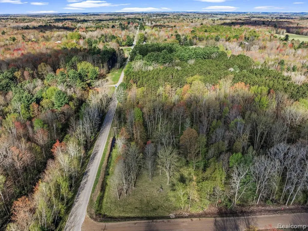 #0014 V/l Brown Road Vassar Township MI 48768
