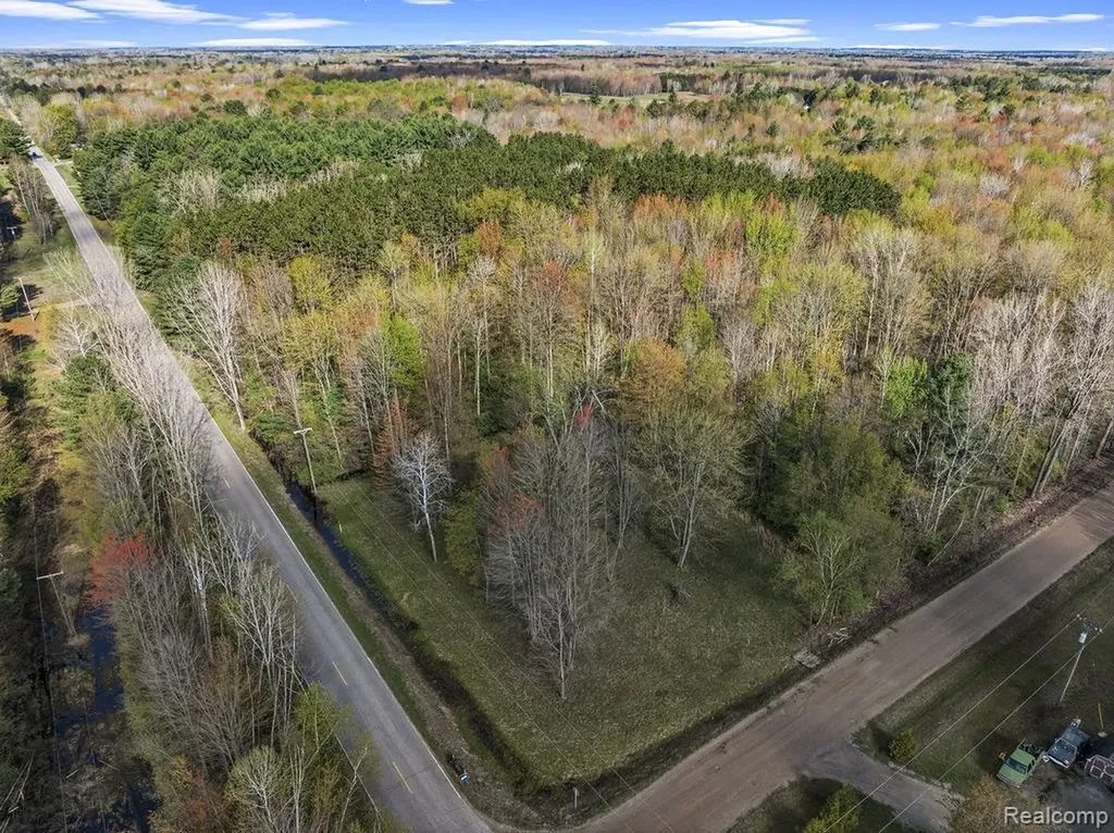 #0014 V/l Brown Road Vassar Township MI 48768