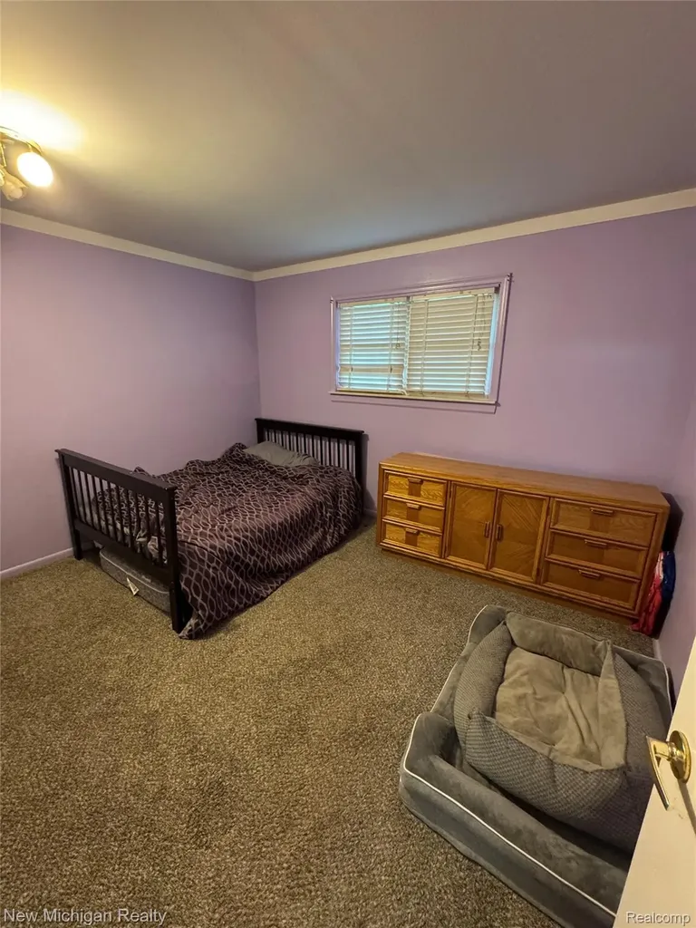 31090 Mc Namee Fraser City MI 48026