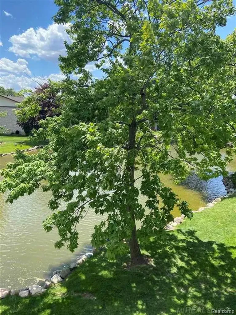 7485 Woodview Street Westland City MI 48185