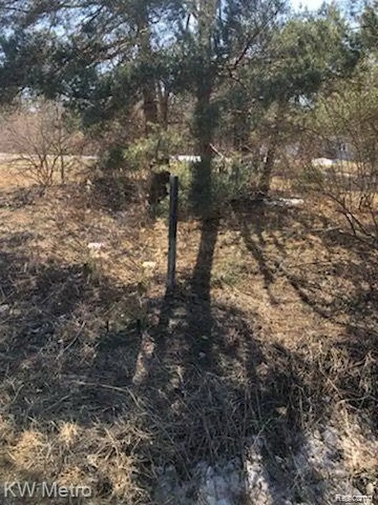 1135 N Baldwin Road Brandon Charter Township MI 48371