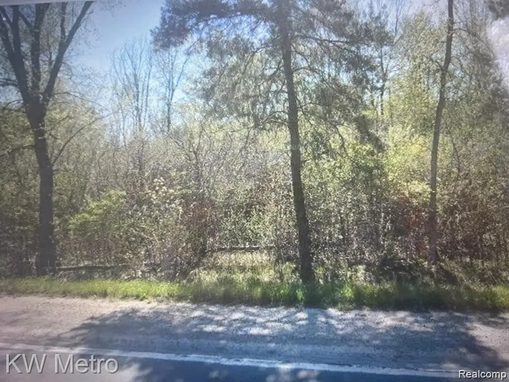 1135 N Baldwin Road Brandon Charter Township MI 48371