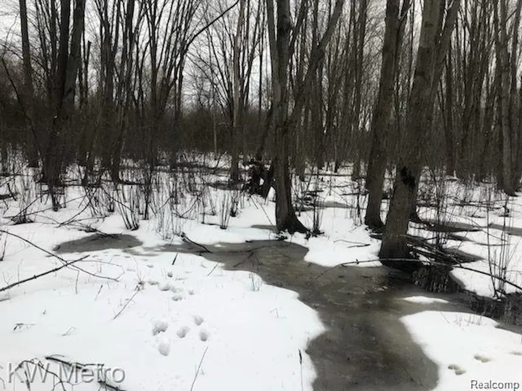 1135 N Baldwin Road Brandon Charter Township MI 48371