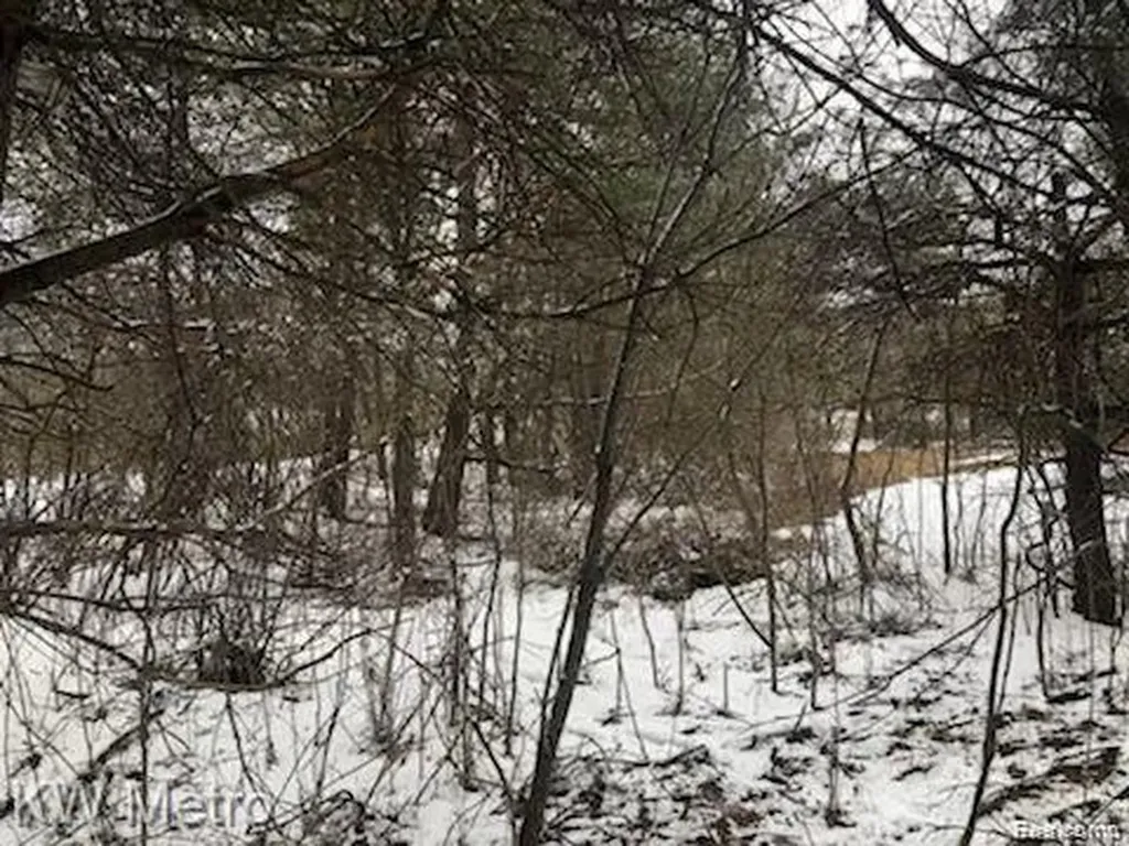 1135 N Baldwin Road Brandon Charter Township MI 48371