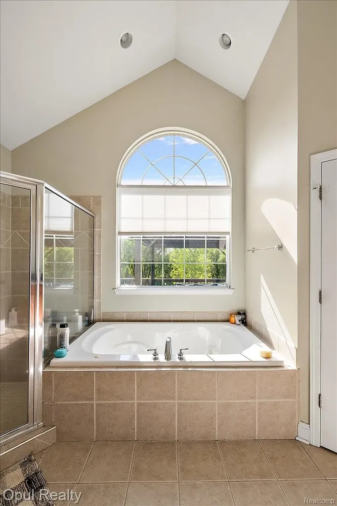 5164 Birch Lane Springfield Charter Township MI 48350