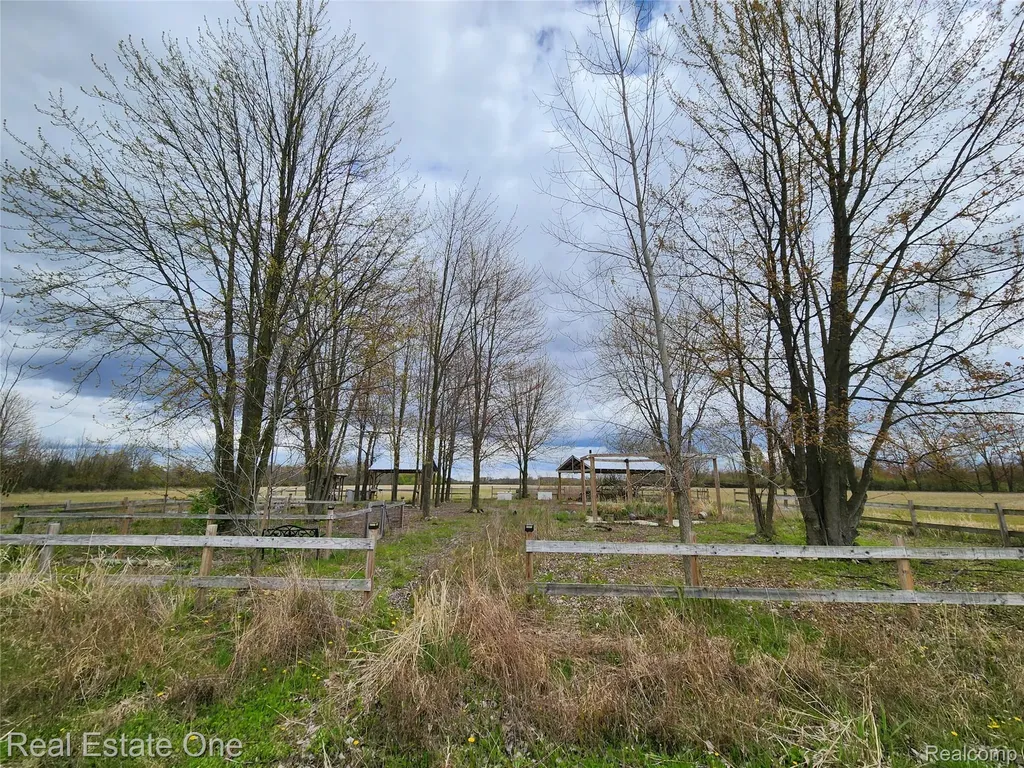2320 Braidwood Road Riley Township MI 48041