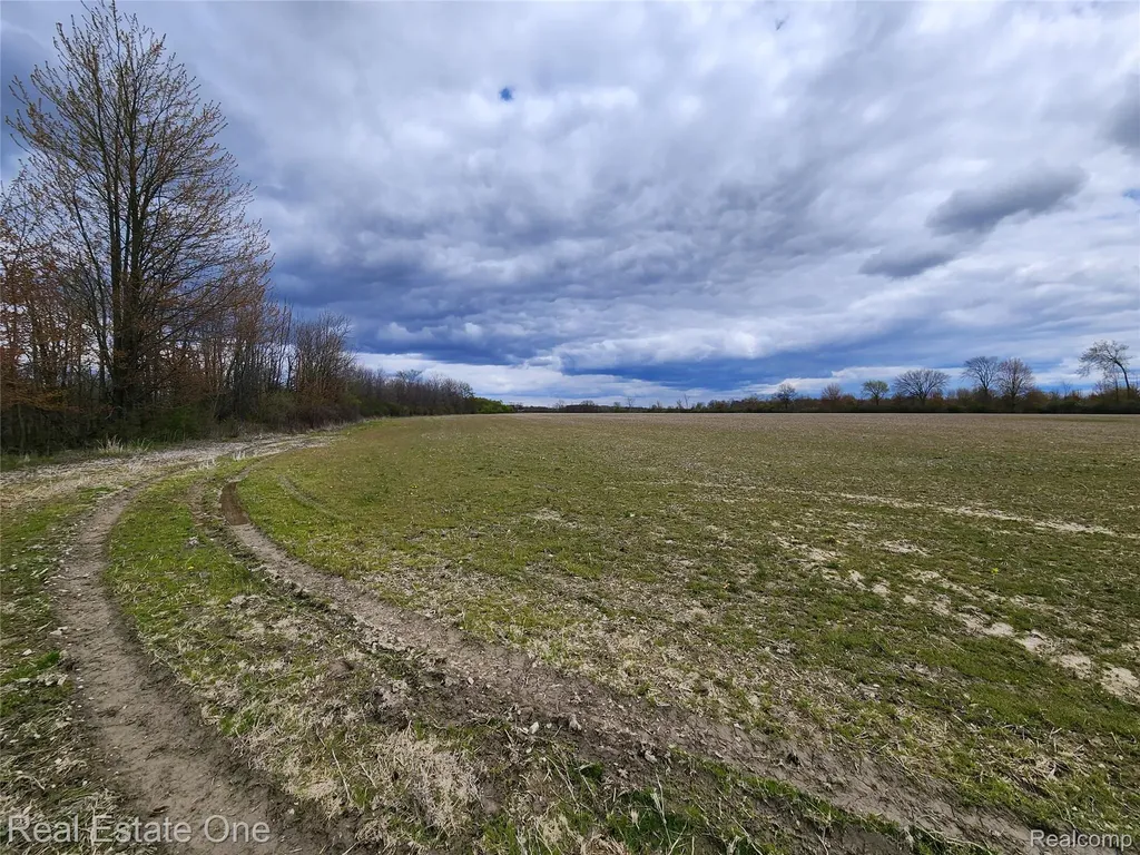 2320 Braidwood Road Riley Township MI 48041
