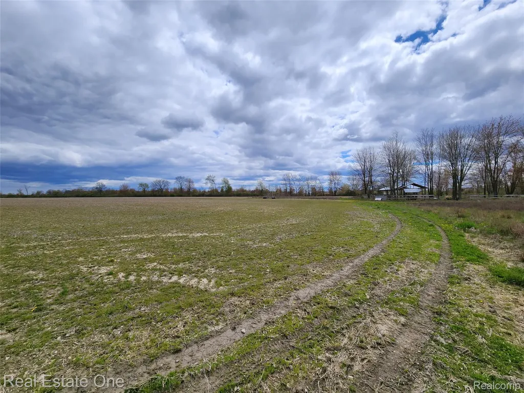 2320 Braidwood Road Riley Township MI 48041