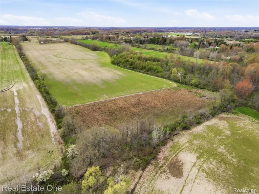 2320 Braidwood Road Riley Township MI 48041