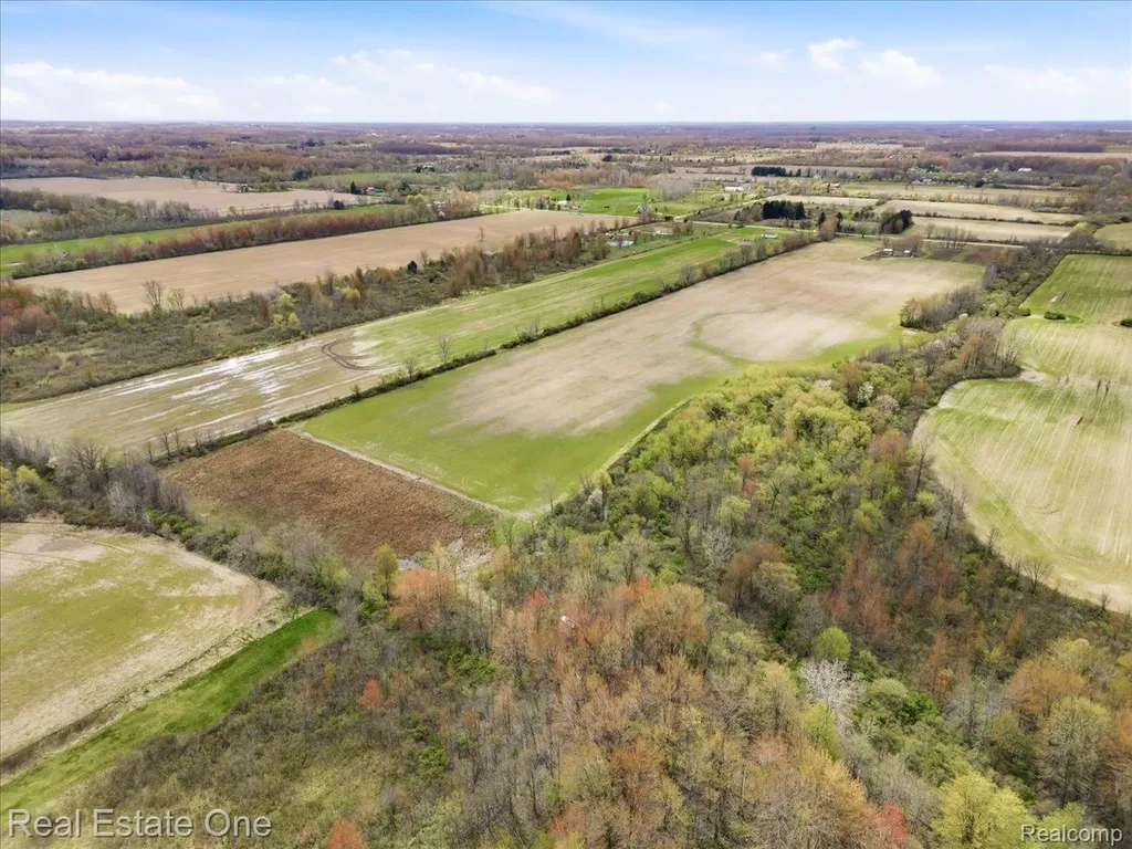 2320 Braidwood Road Riley Township MI 48041