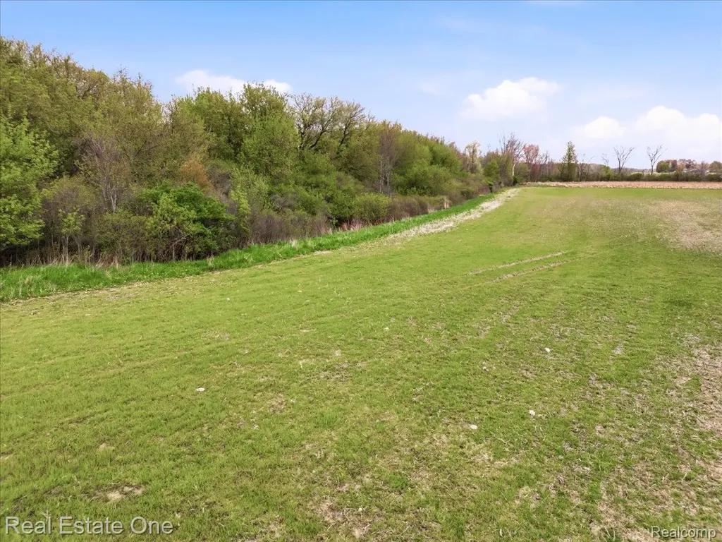 2320 Braidwood Road Riley Township MI 48041