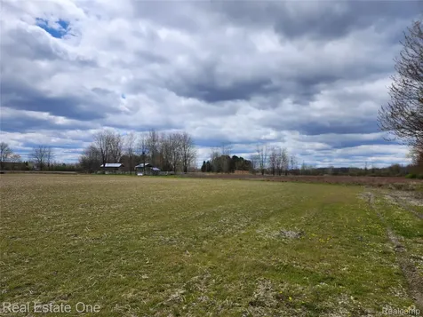 2320 Braidwood Road Riley Township MI 48041