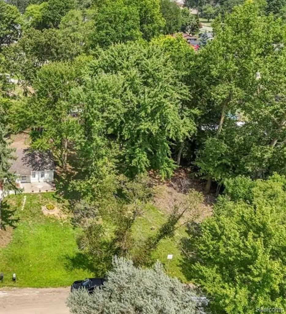 33712 Melton Avenue Westland City MI 48185