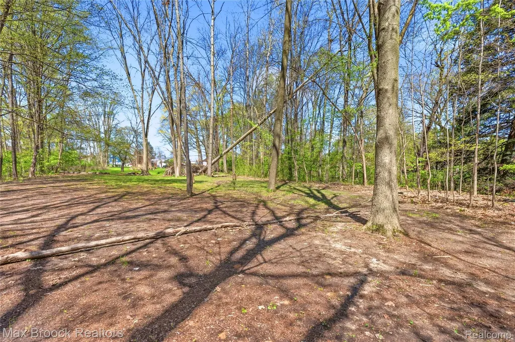 1146 E Caro Road Almer Township MI 48723
