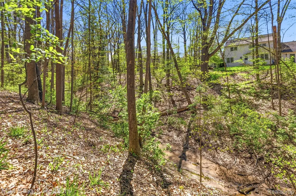 1146 E Caro Road Almer Township MI 48723