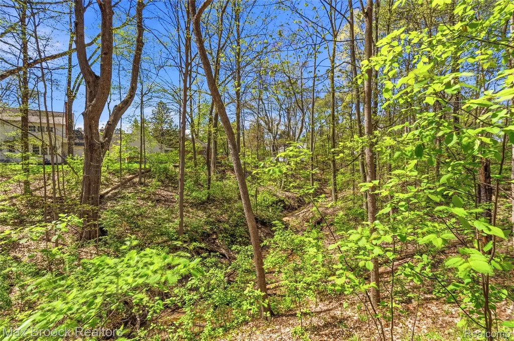 1146 E Caro Road Almer Township MI 48723