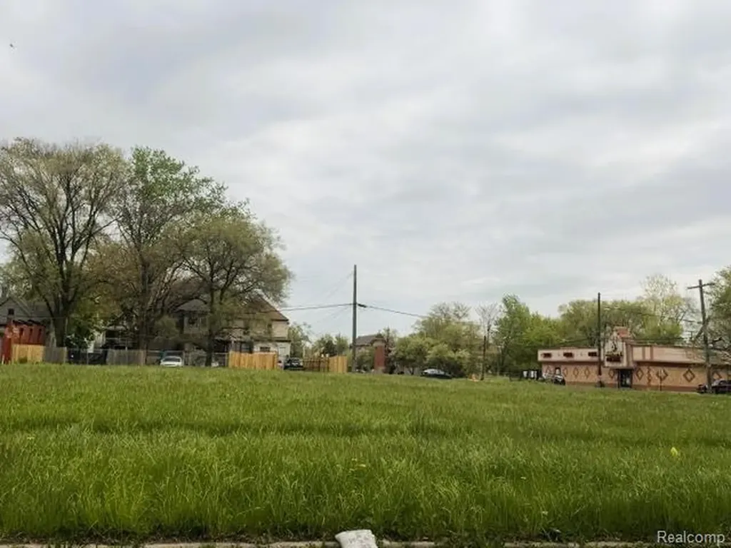 1502 Casgrain Street Detroit City MI 48209