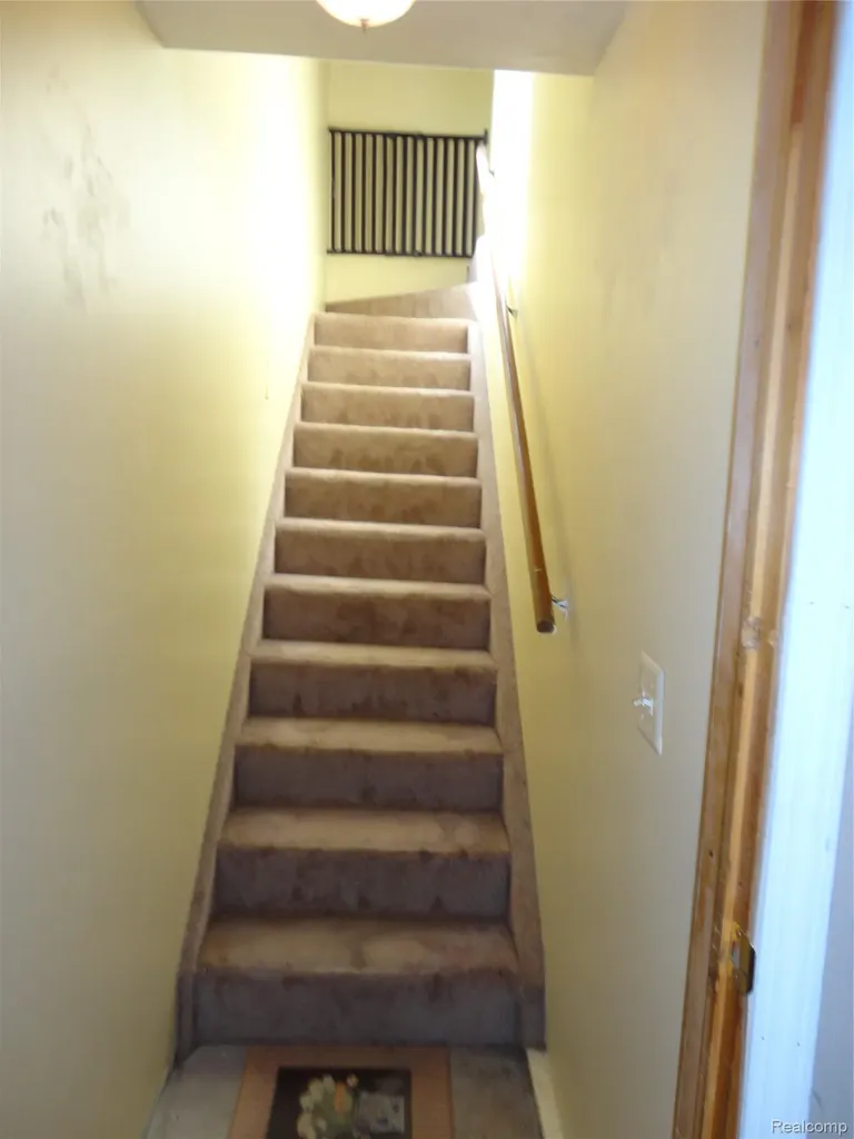 8180 Tipsico Trail Rose Township MI 48442