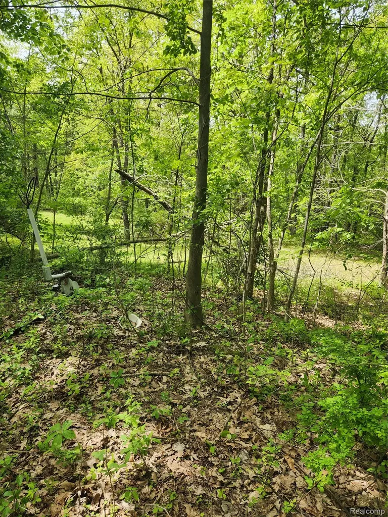 8180 Tipsico Trail Rose Township MI 48442