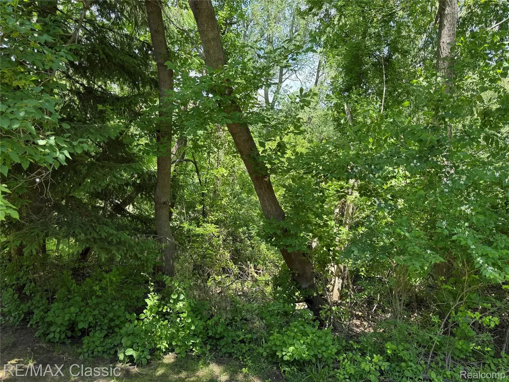7806 Manor Circle Westland City MI 48185